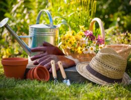 Inovujte exteriér rodinného domu a záhradku ešte pred koncom leta