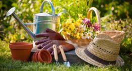 Inovujte exteriér rodinného domu a záhradku ešte pred koncom leta